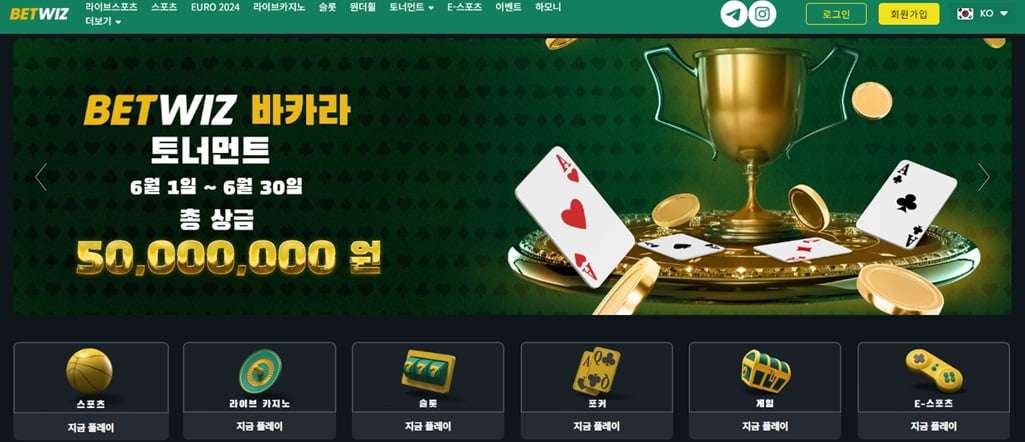 벳위즈 도메인